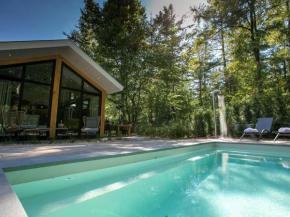 Luxury lodge with private swimming pool